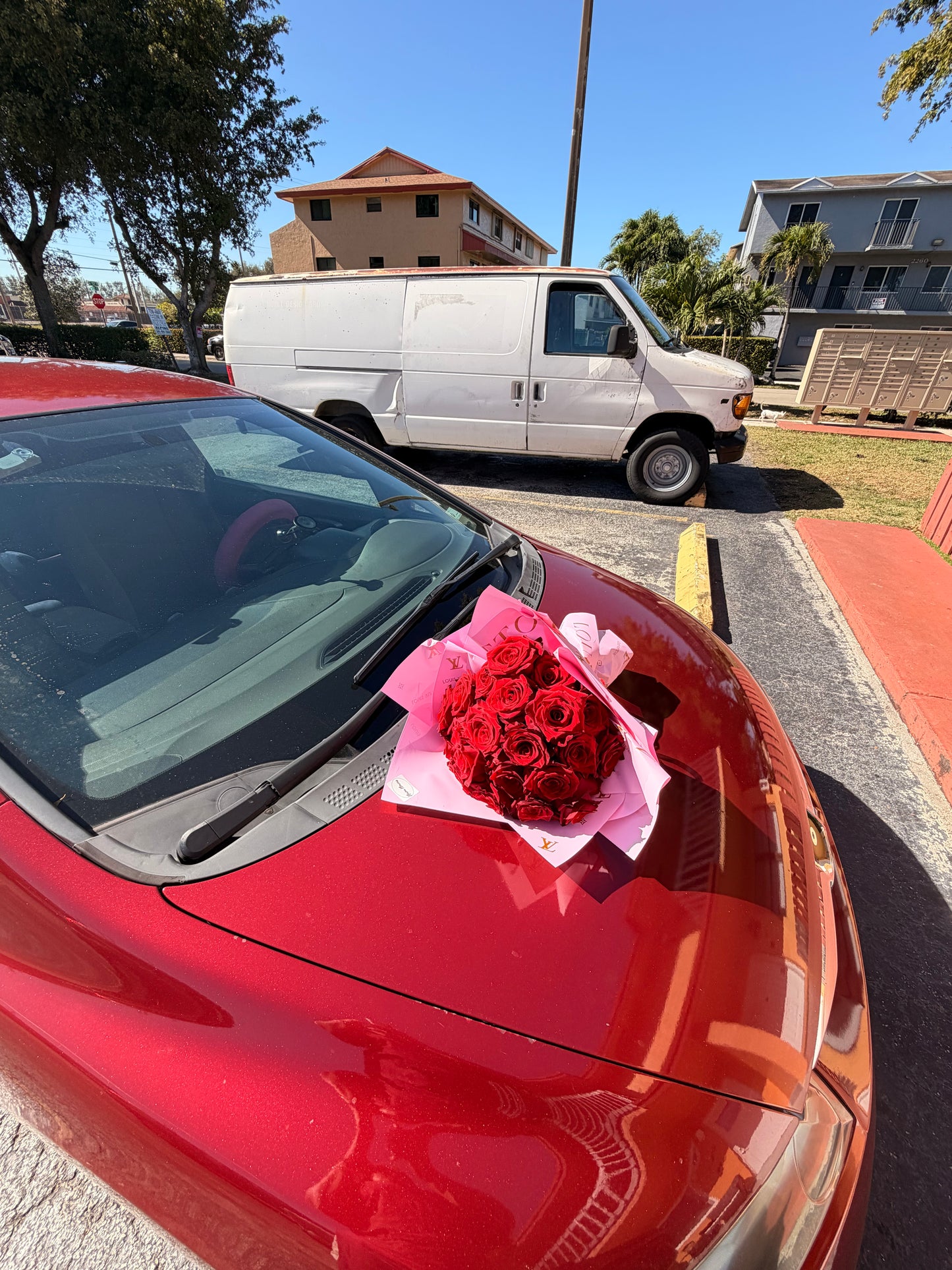 Ramos De Rosas