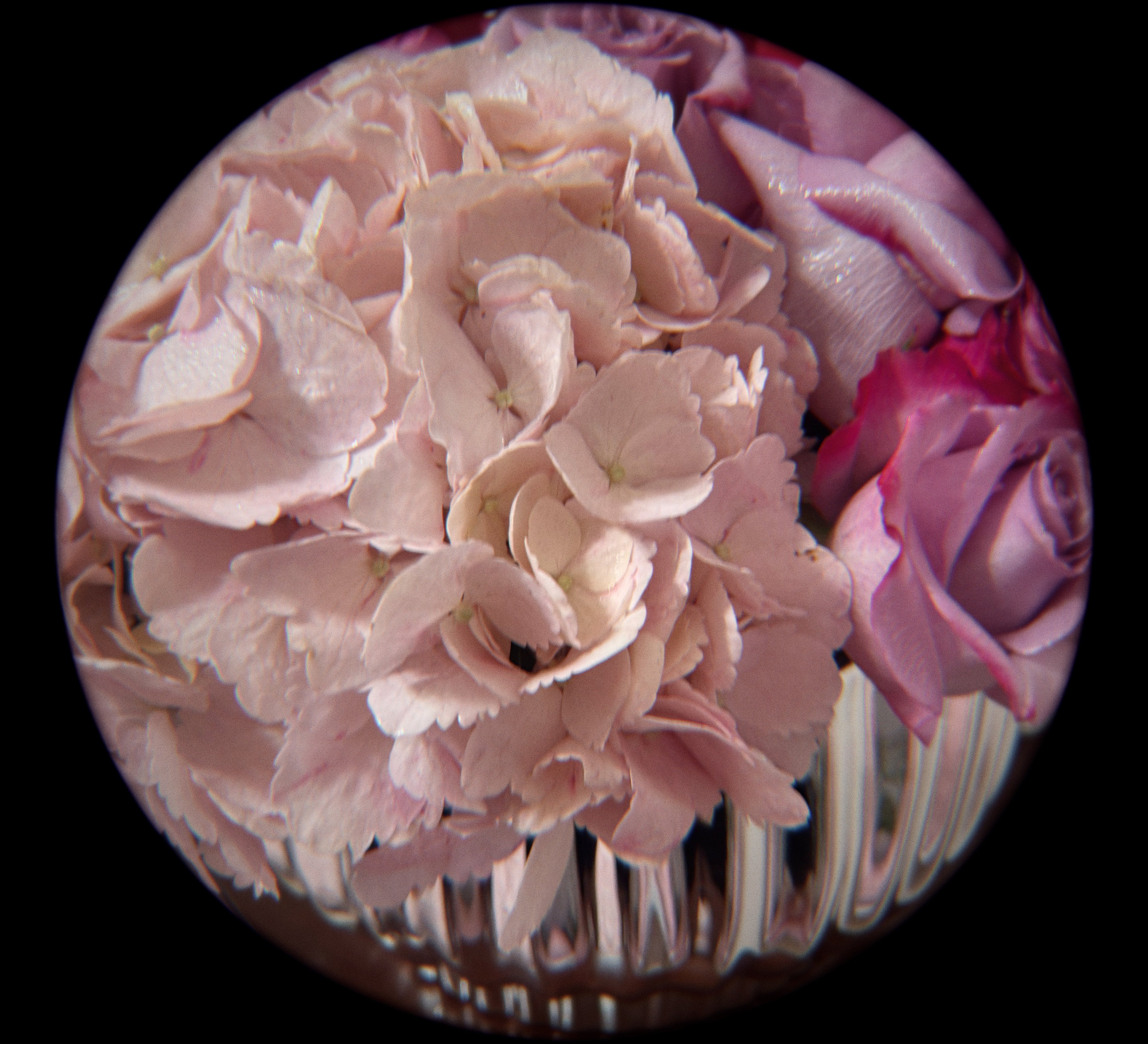 Floral Muse