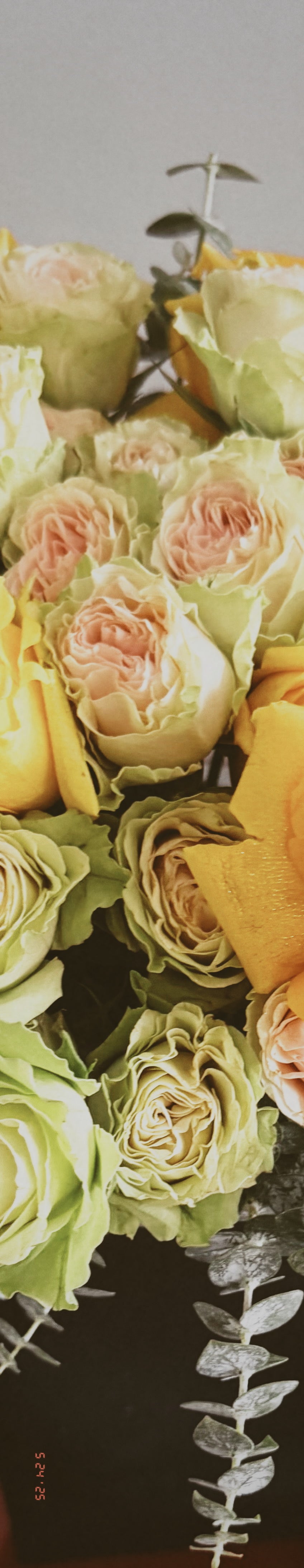 Eclipse Floral