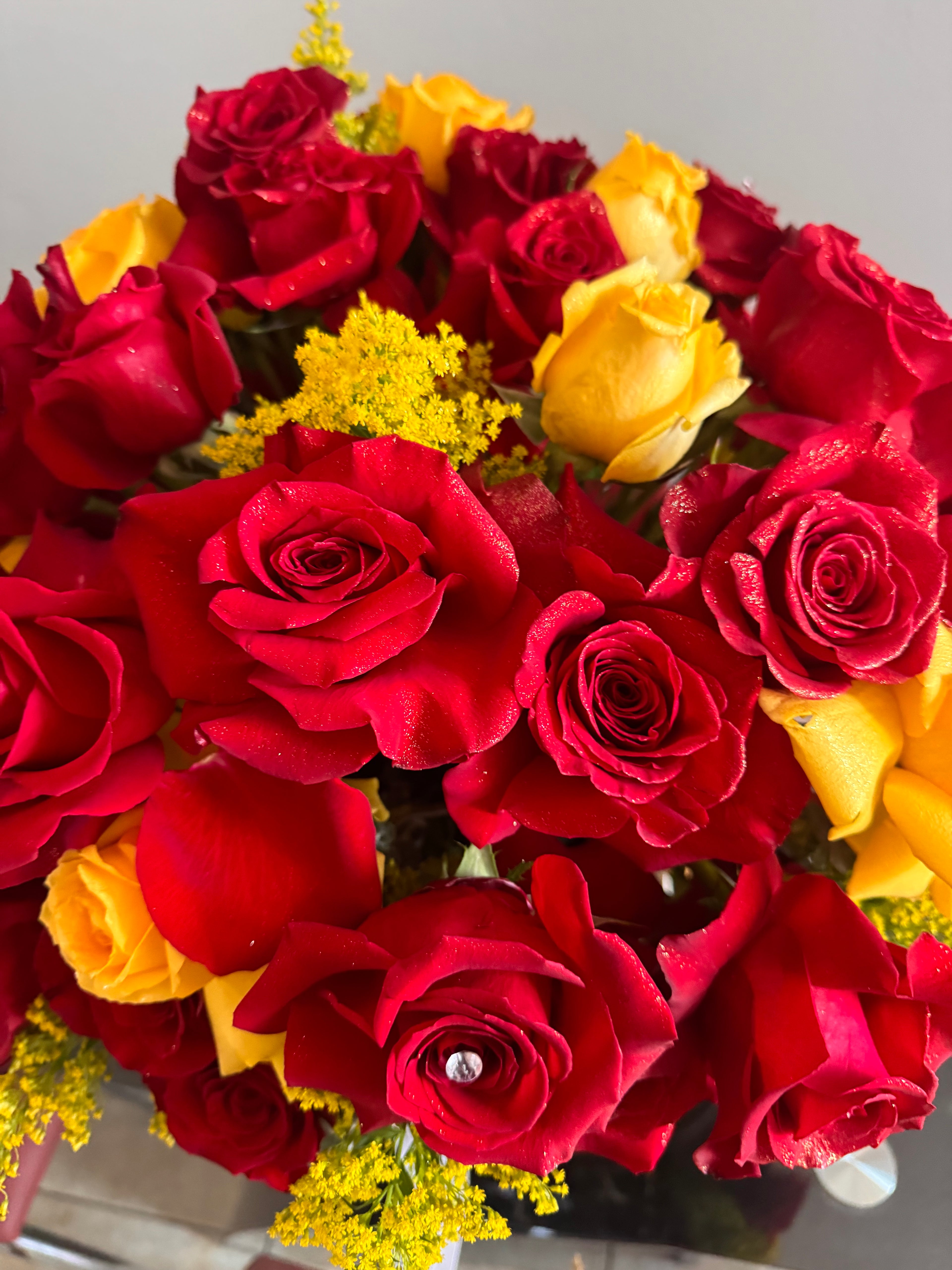 Reina de Rosas